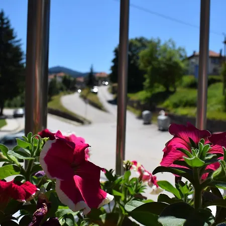 Complex Pele Hotel Zmeitsa