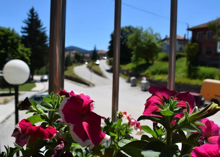 Complex Pele Hotel Zmeitsa