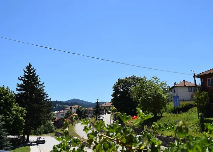 Complex Pele * Zmeitsa