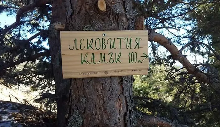 Complex Pele * Zmeitsa